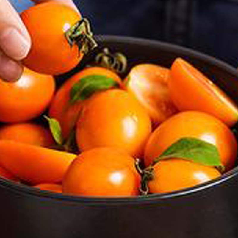 Marine Salt Mix - Machine à marinade et salage en