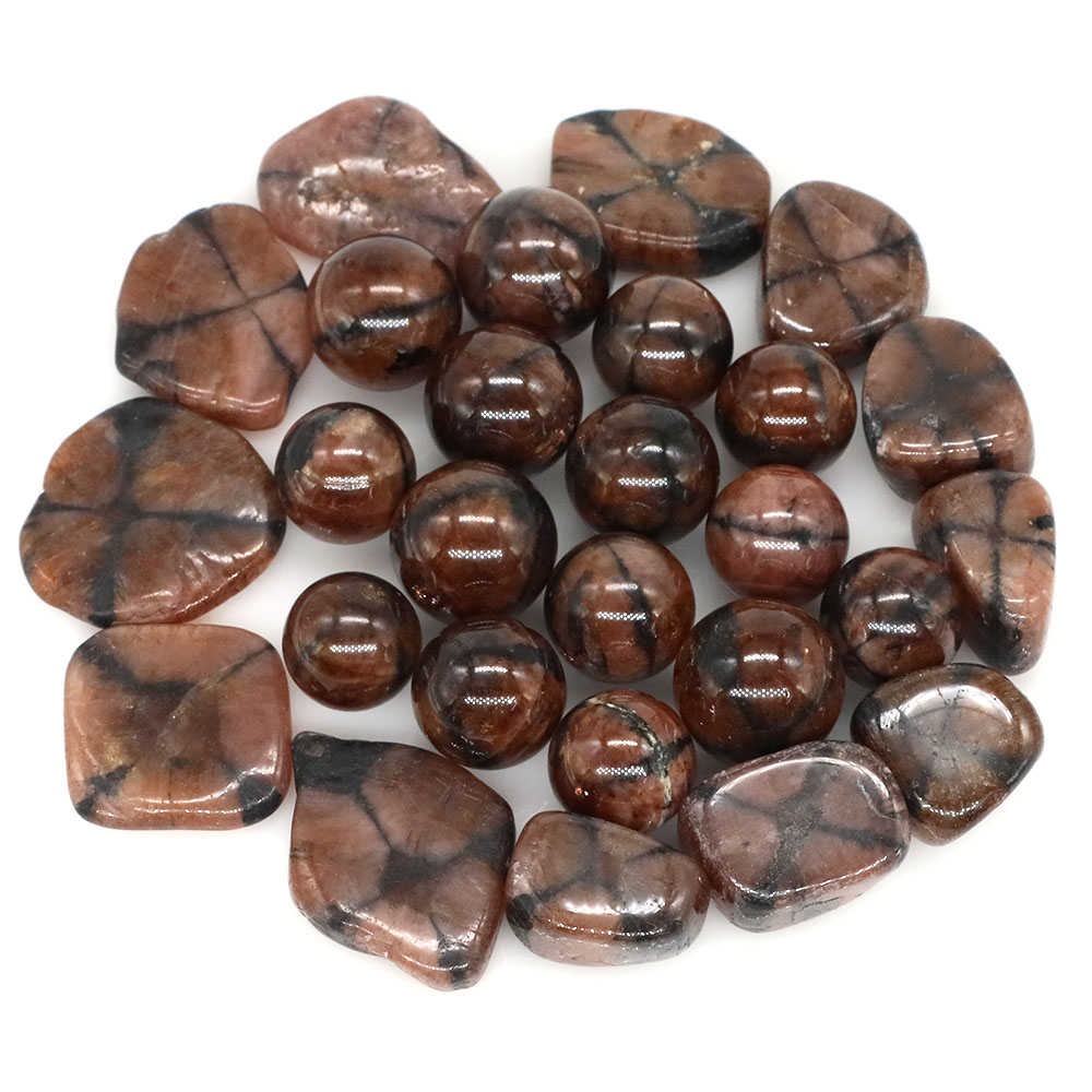 Cristaux de Quartz en Chiastol - Aquarium Marine Stone avis et prix