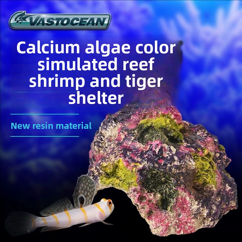 VASTOCEAN – grotte d'aquarium  - Marine Aquarium Hermit Crab avis et prix