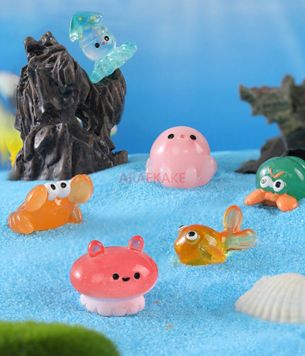 Animaux marins mignons : calma - Marine Aquarium Hermit Crab avis et prix