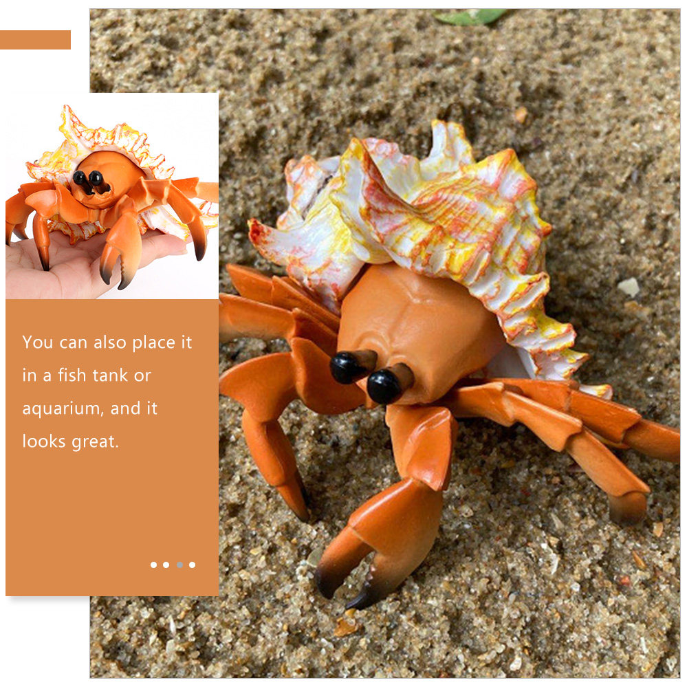 Crabe ermite de simulation, cr - Marine Aquarium Hermit Crab avis et prix