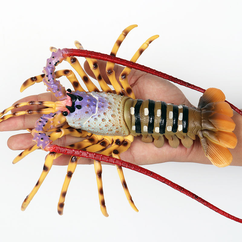 Figurine réaliste de la vie ma - Marine Aquarium Hermit Crab avis et prix