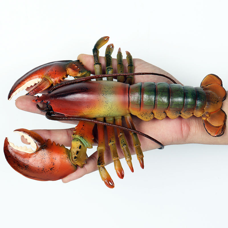 Figurine réaliste de la vie ma - Marine Aquarium Hermit Crab avis et prix