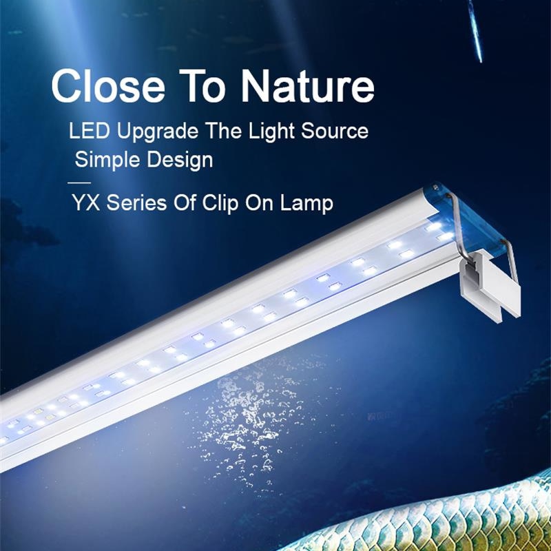 Extensible Étanche Clip sur La - Marine Aquarium Lamp avis et prix