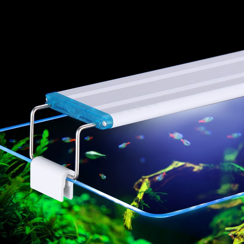 Extensible Étanche Clip sur La - Marine Aquarium Lamp avis et prix
